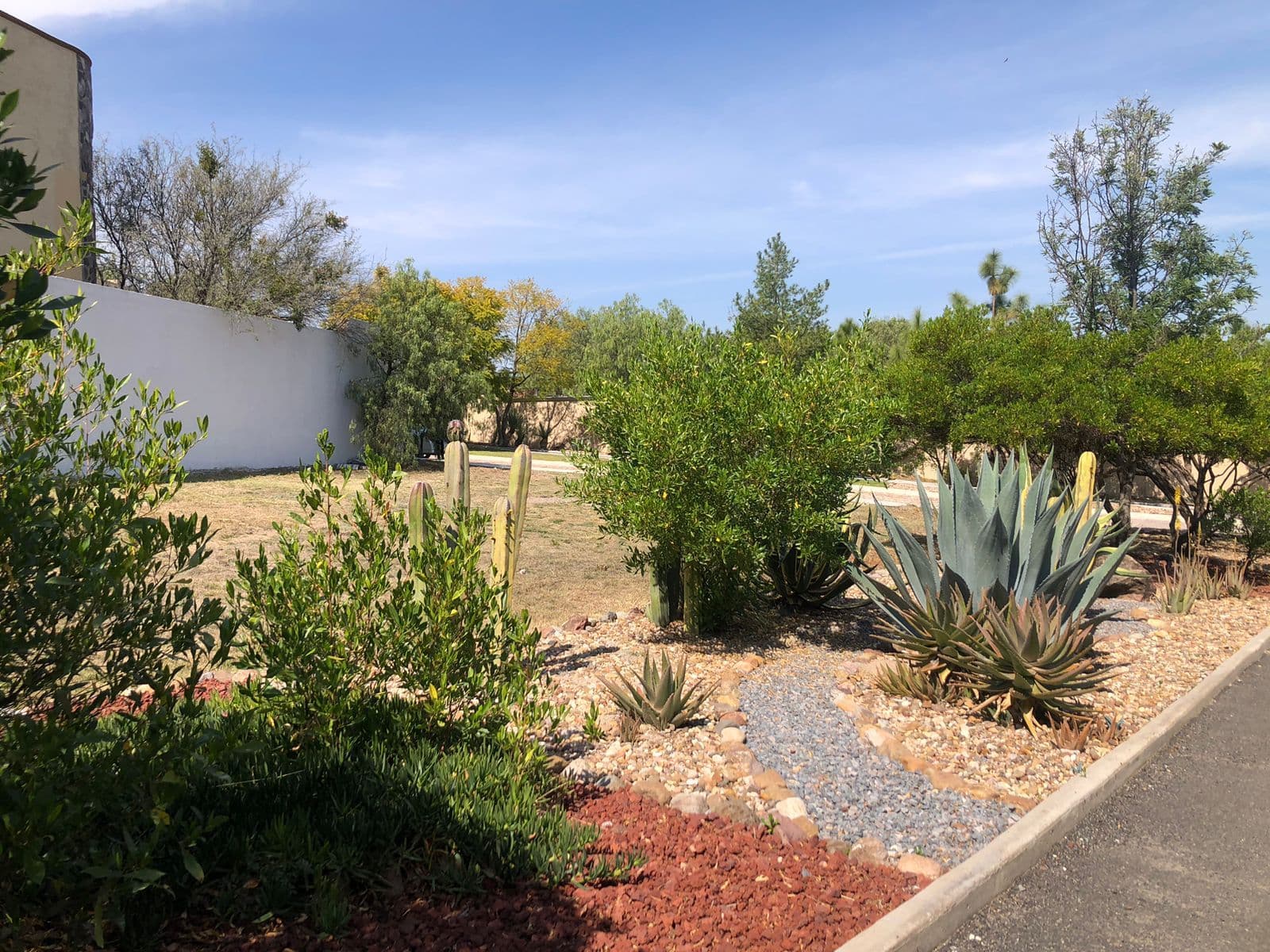 Lote Agave, Vista Antigua — photo 6 of 10