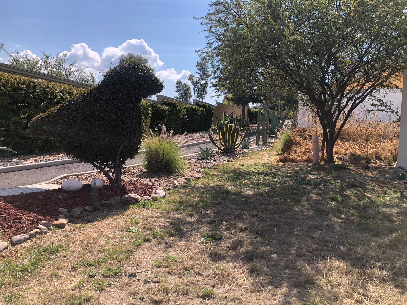 Lote Agave, Vista Antigua — photo 3 of 10