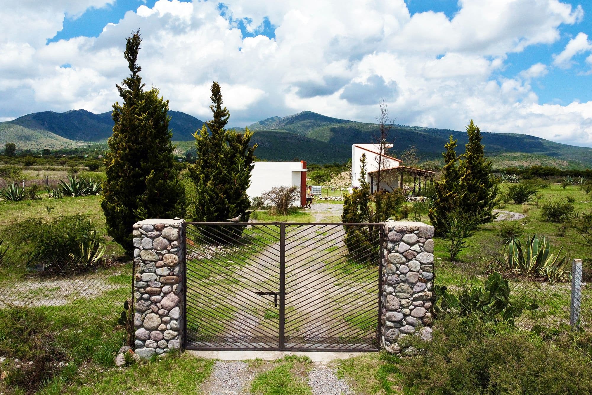 Finca Patanegra on Road to Jalpa — photo 4 of 10