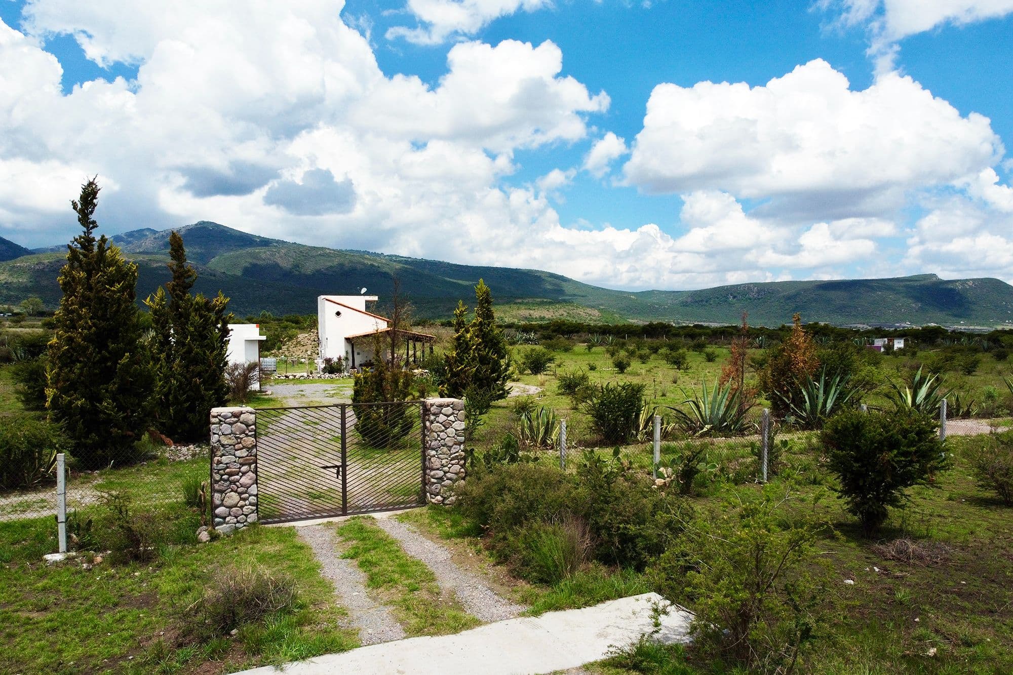 Finca Patanegra on Road to Jalpa — photo 3 of 10