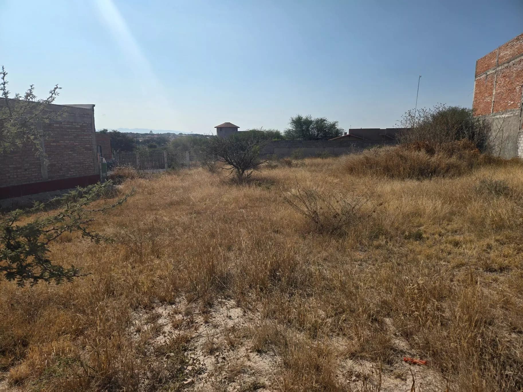 Lote Tequis 1000 — photo 5 of 5