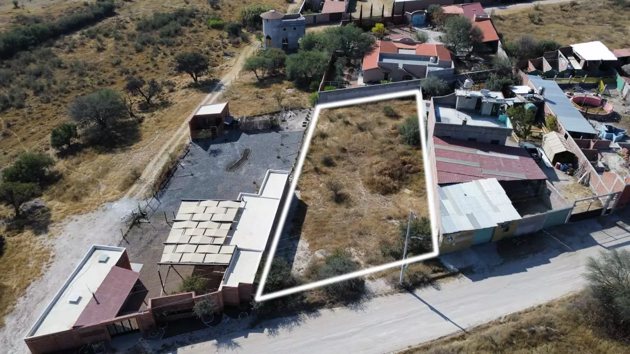 Lote Tequis 1000 — photo 4 of 5
