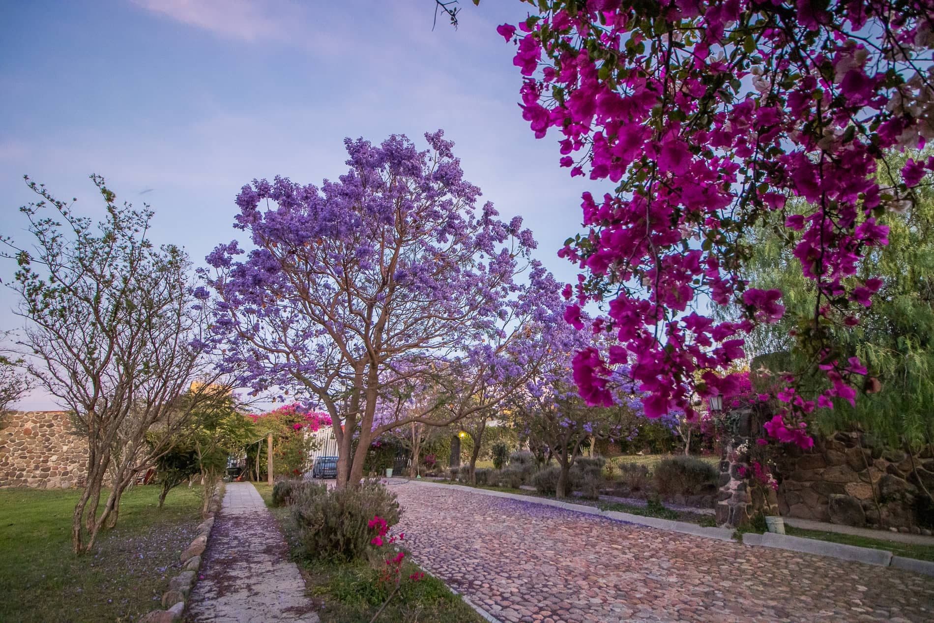 AltaVista Lot 5 – 1,163 m² | Large Luxury Homesite in San Miguel de Allende — photo 1 of 4