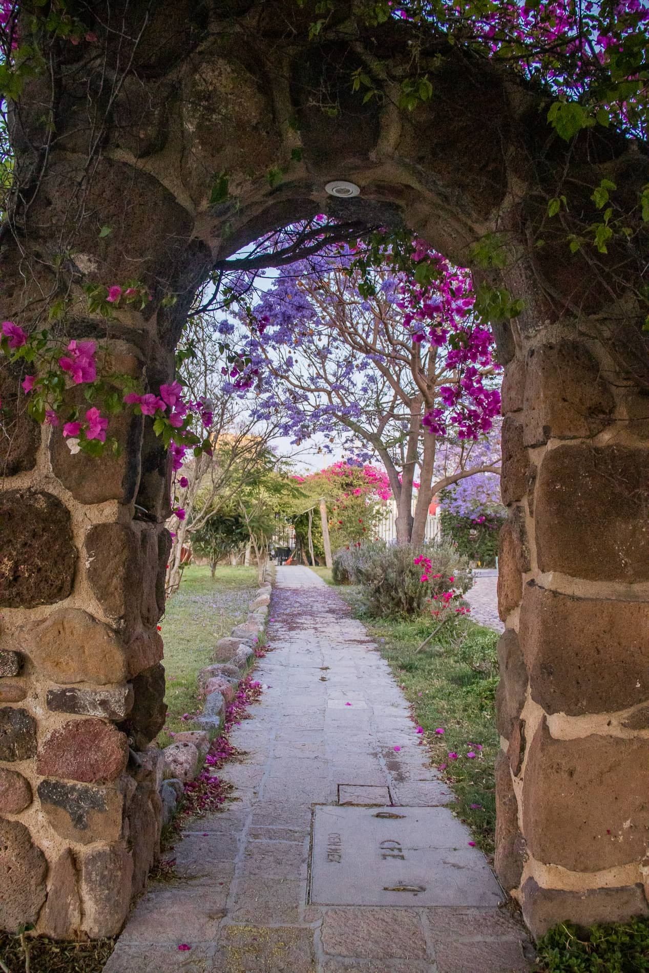 AltaVista Lot 5 – 1,163 m² | Large Luxury Homesite in San Miguel de Allende — photo 9 of 10