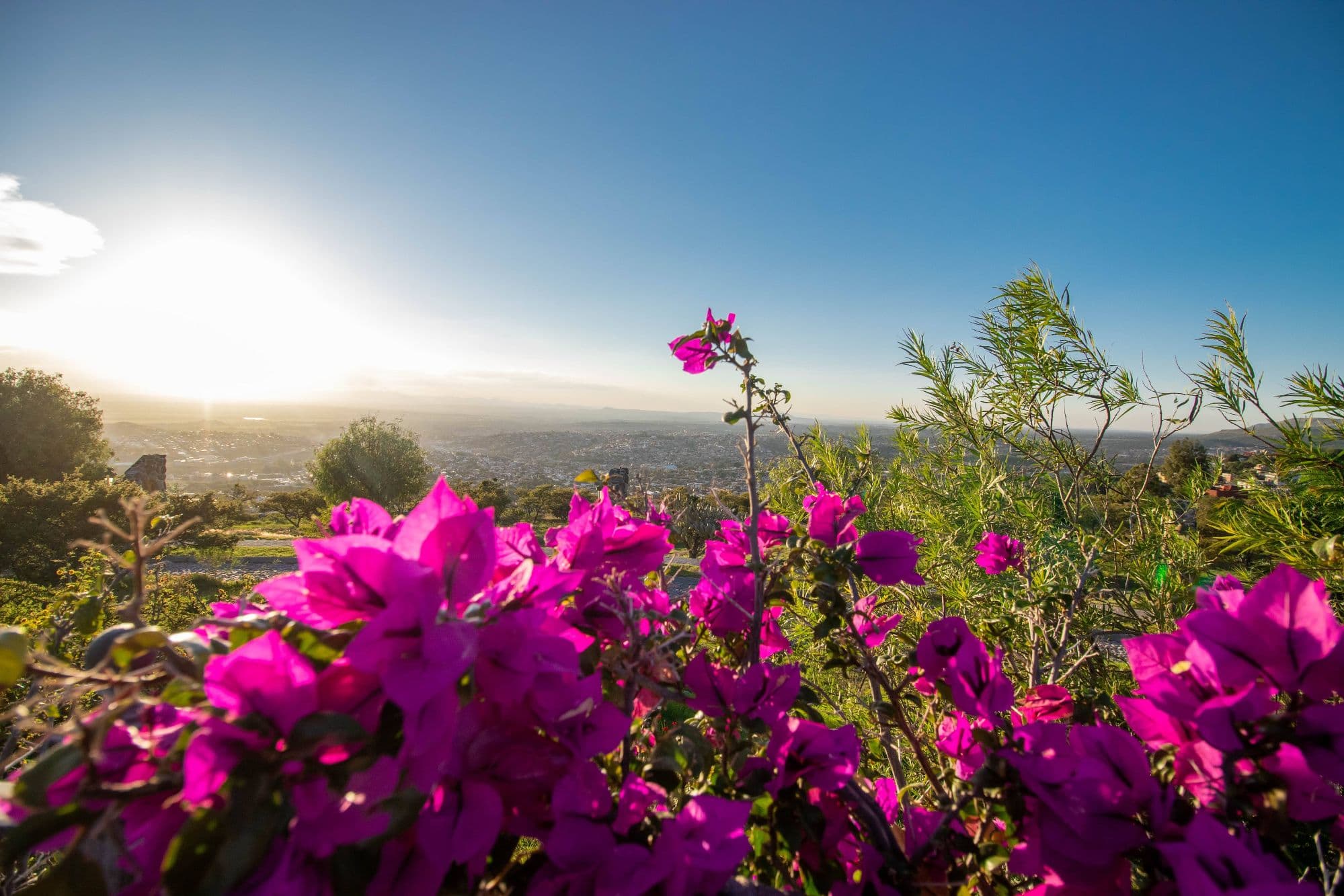 AltaVista Lot 5 – 1,163 m² | Large Luxury Homesite in San Miguel de Allende — photo 8 of 10