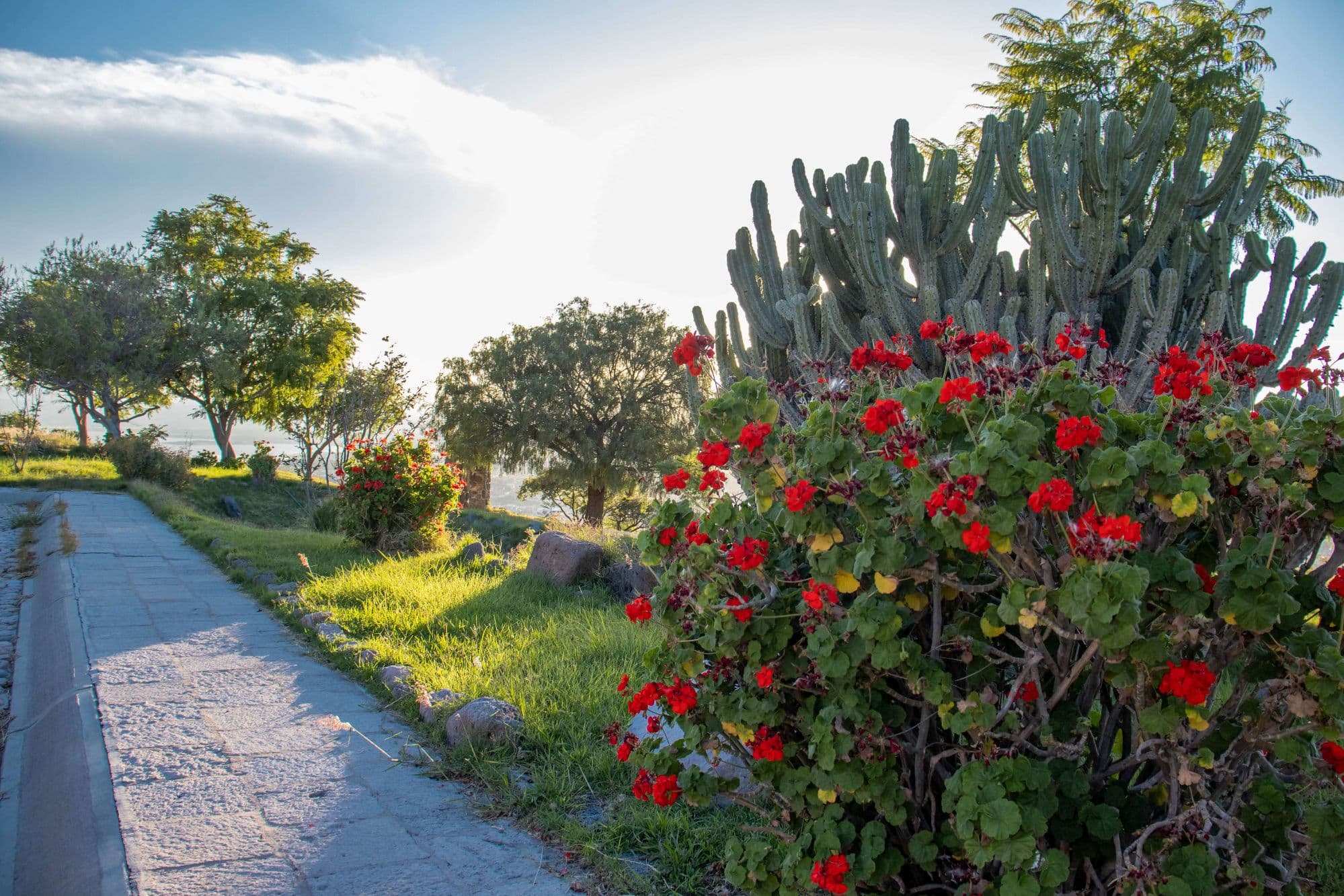 AltaVista Lot 5 – 1,163 m² | Large Luxury Homesite in San Miguel de Allende — photo 7 of 10