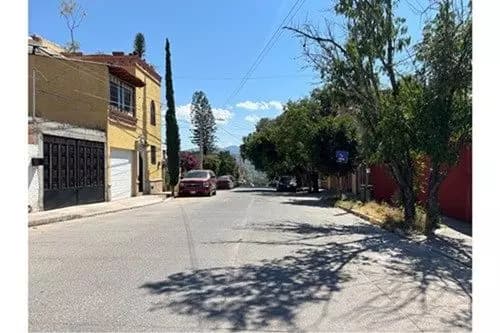 Lote Gante — photo 3 of 7