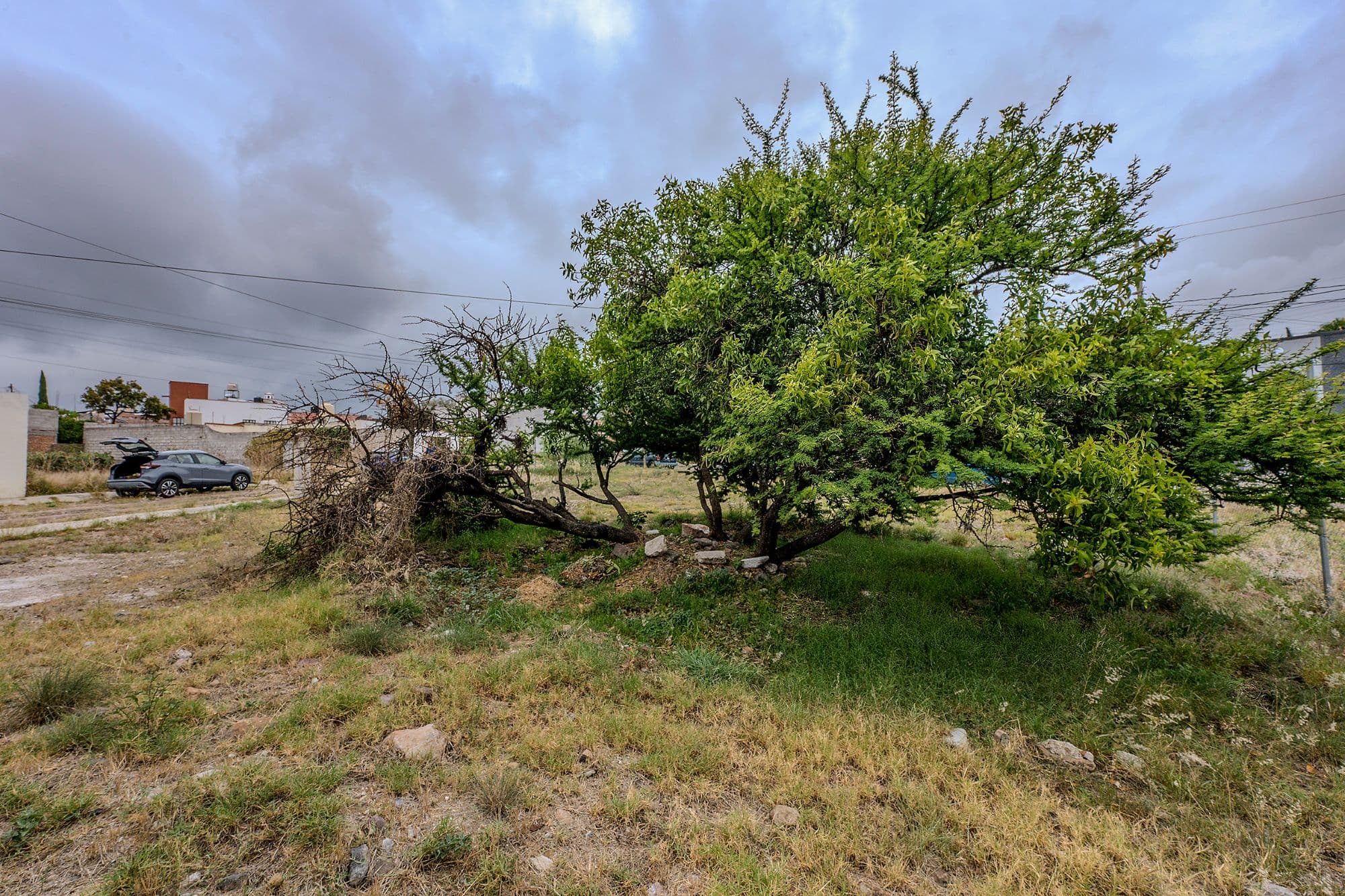 Privada La Luz Lote 109 — photo 7 of 10