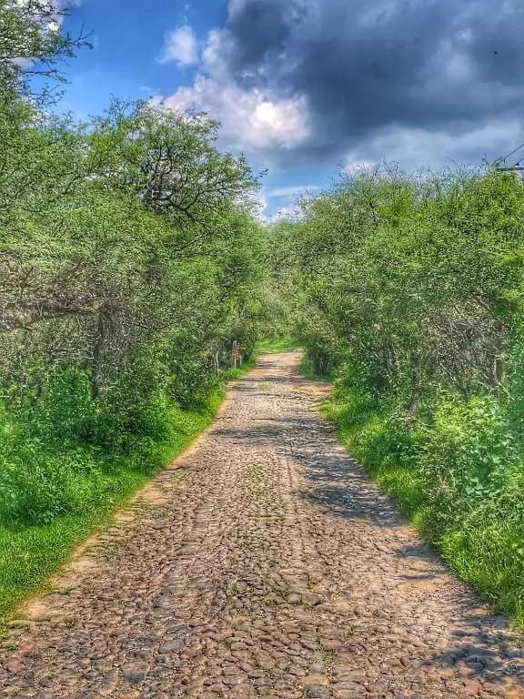 Estancia De Canal — photo 1 of 4