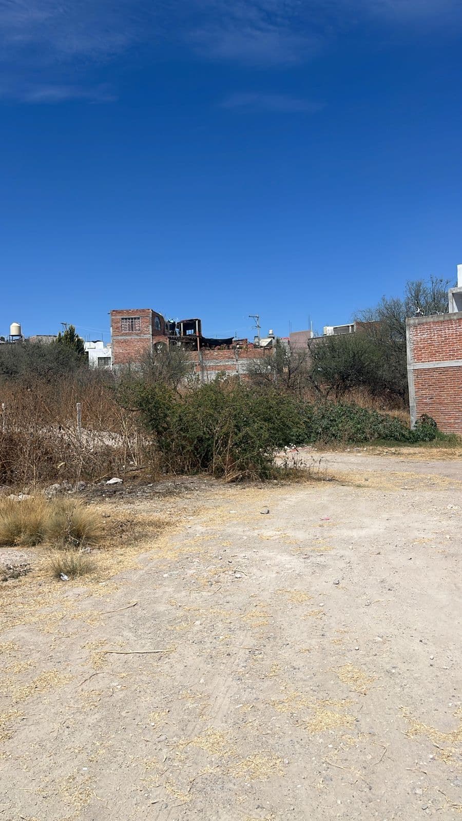 Terreno en "Ejido de Tirado" — photo 5 of 6