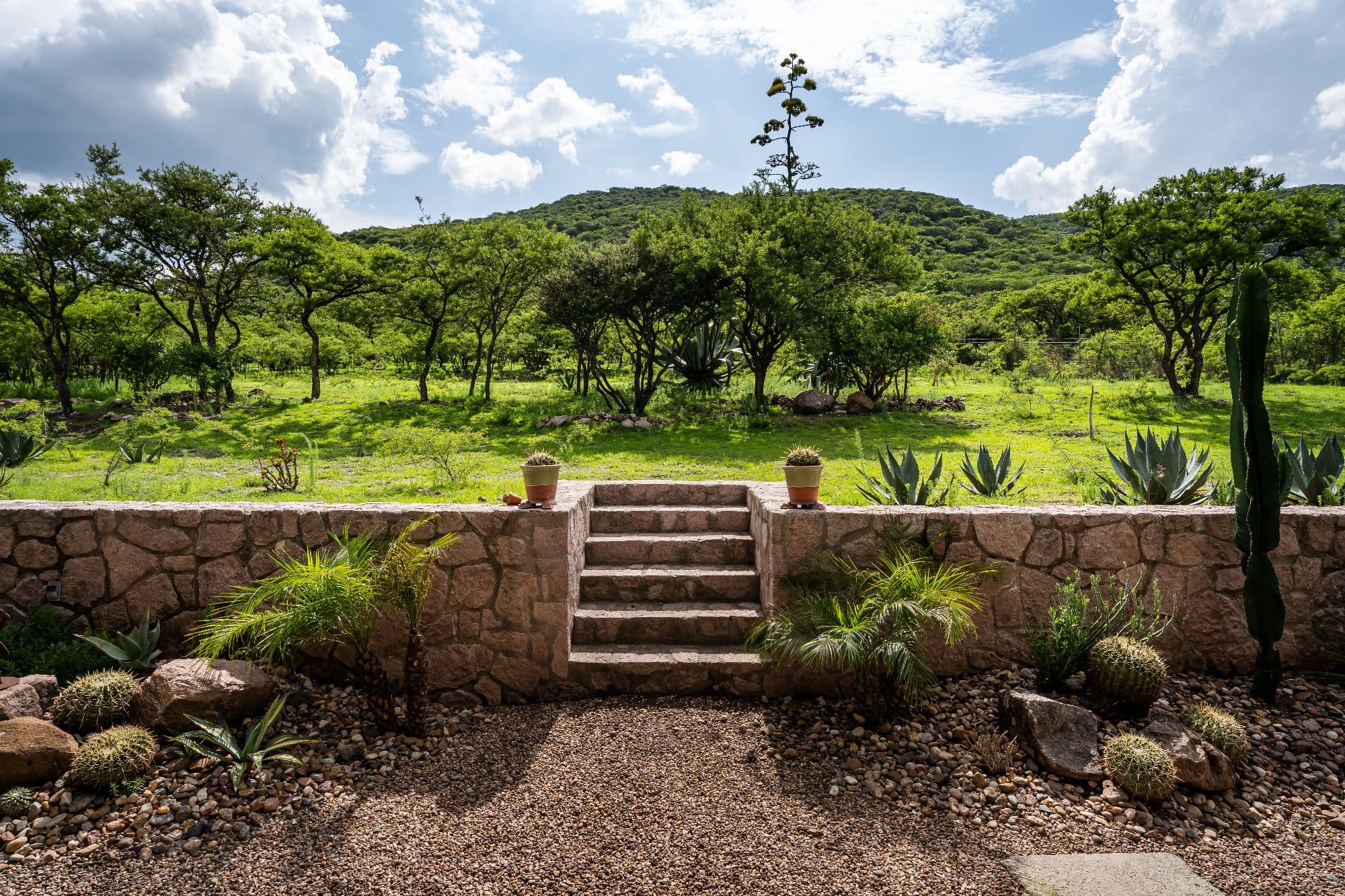 Santuario Tierra Viva — photo 9 of 9
