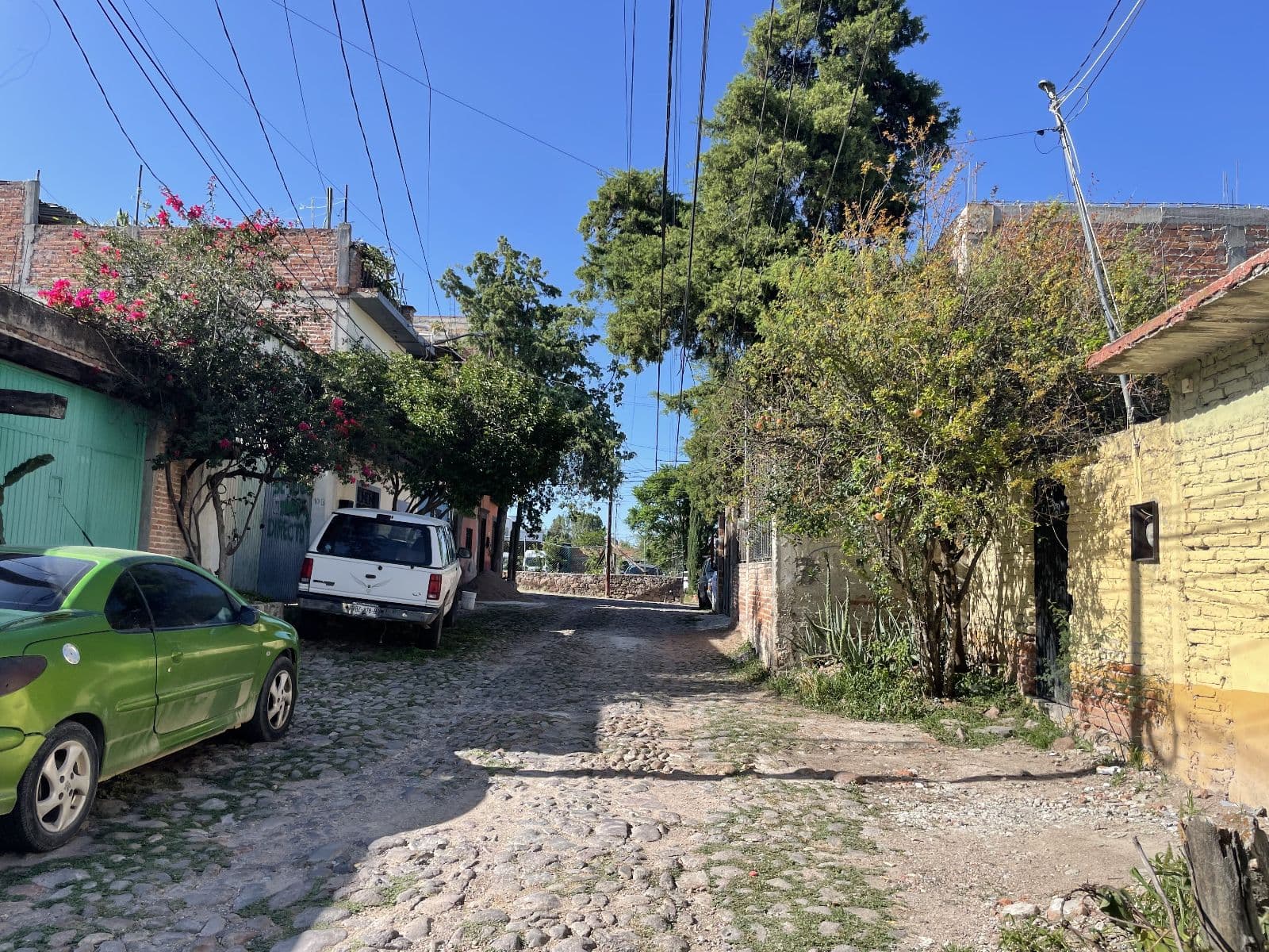 Lote de Lencho — photo 4 of 7