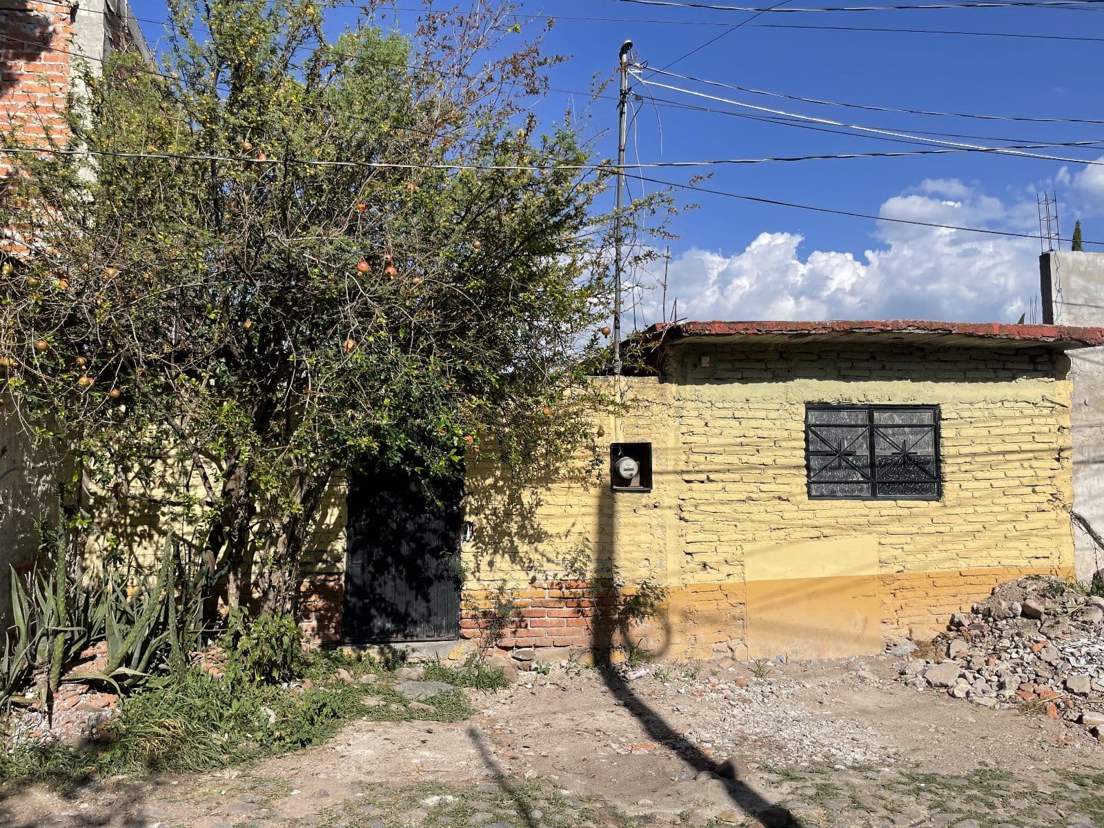 Lote de Lencho — photo 1 of 7