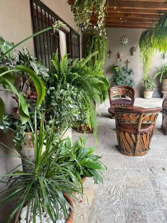 Americo's House — photo 3 of 10