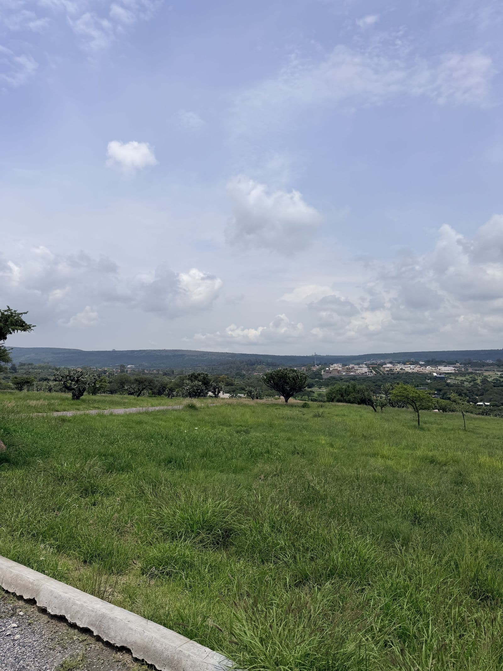 Palcos de Piamonte — photo 3 of 10