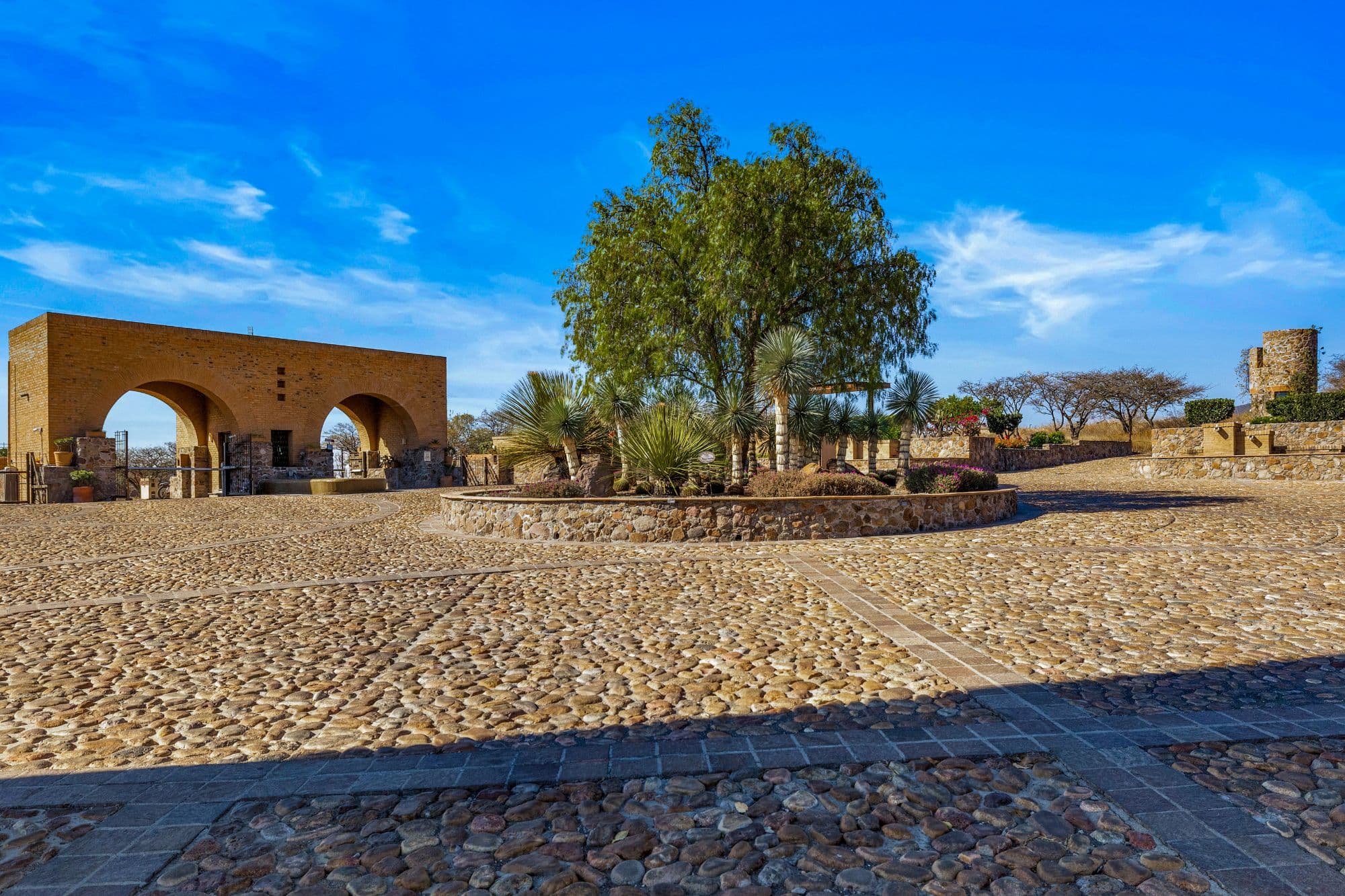 Vinedo San Miguel - Premium Lot — photo 1 of 10