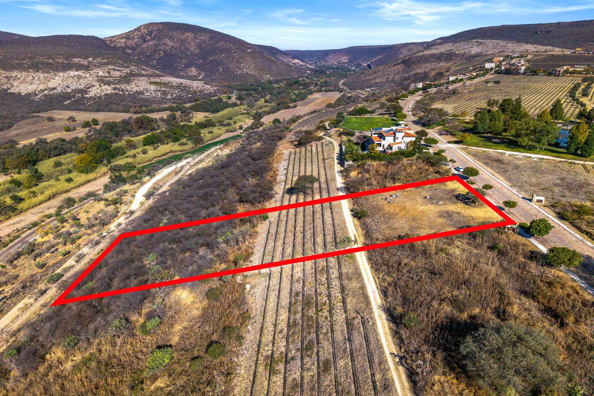 Vinedo San Miguel - Premium Lot — photo 6 of 10