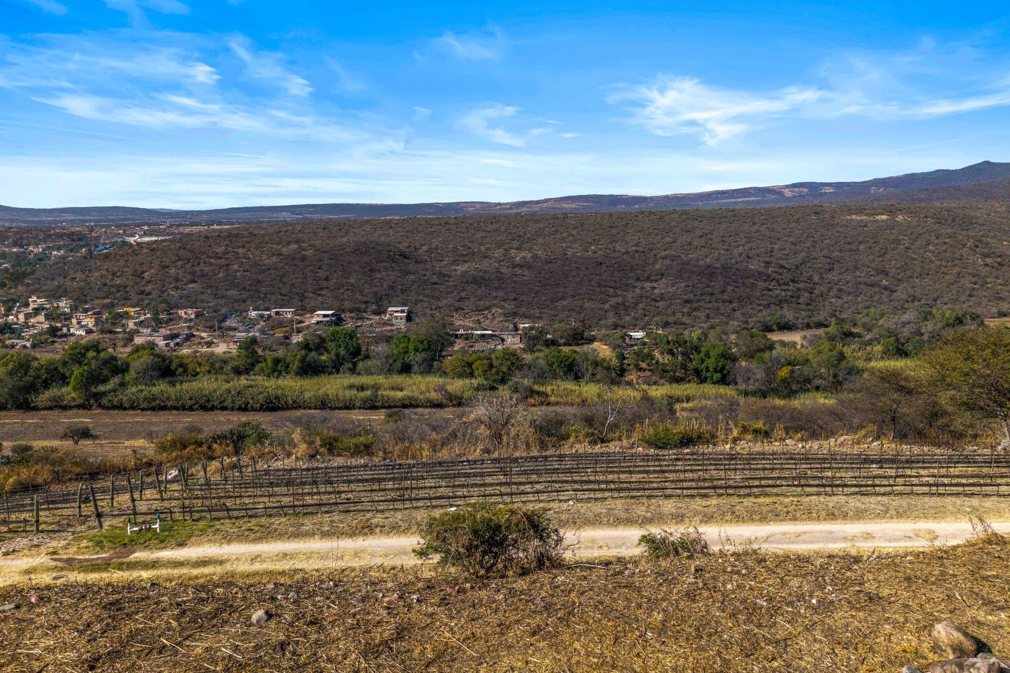 Vinedo San Miguel - Premium Lot — photo 9 of 10