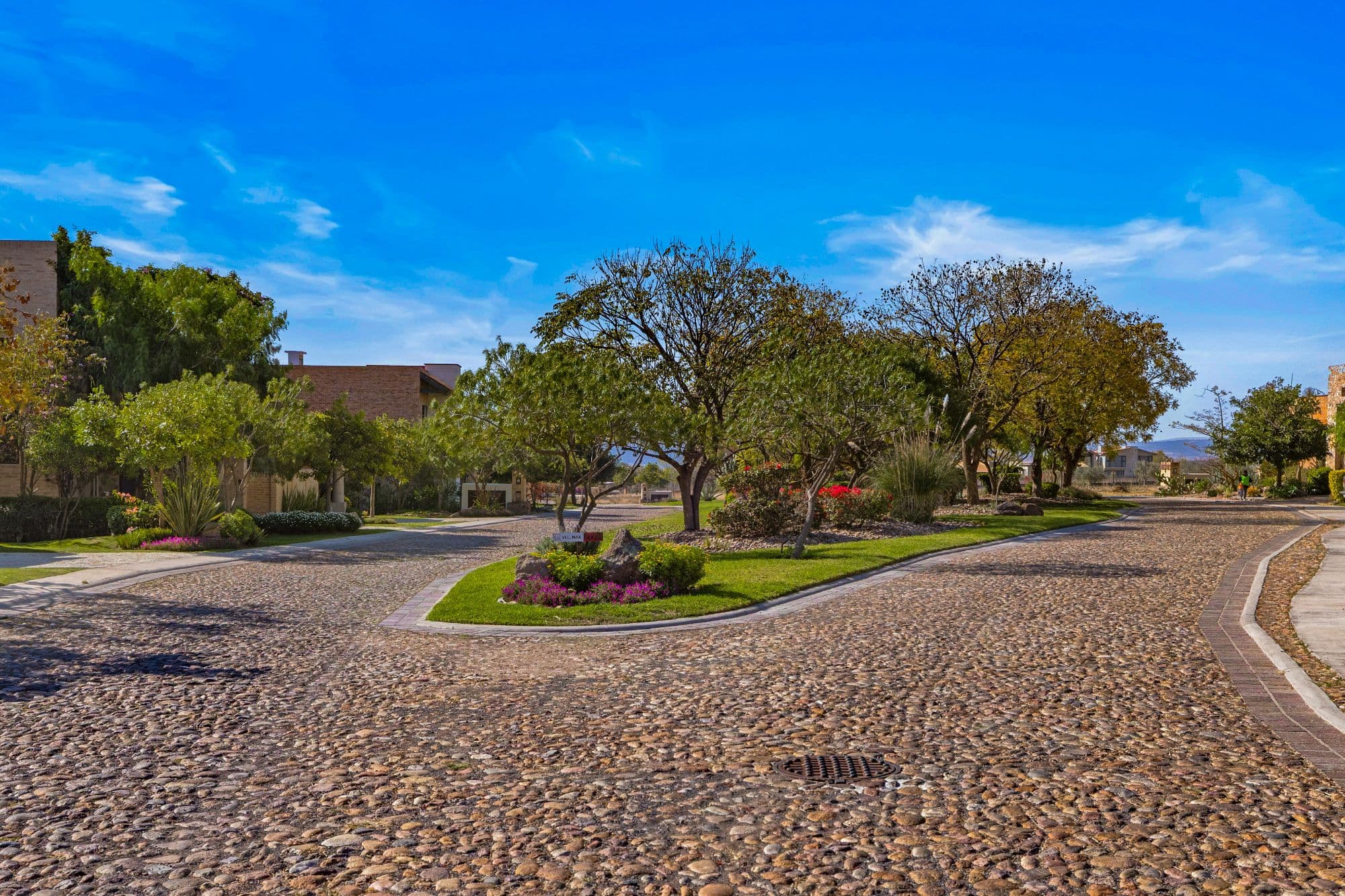 Vinedo San Miguel - Premium Lot — photo 2 of 10
