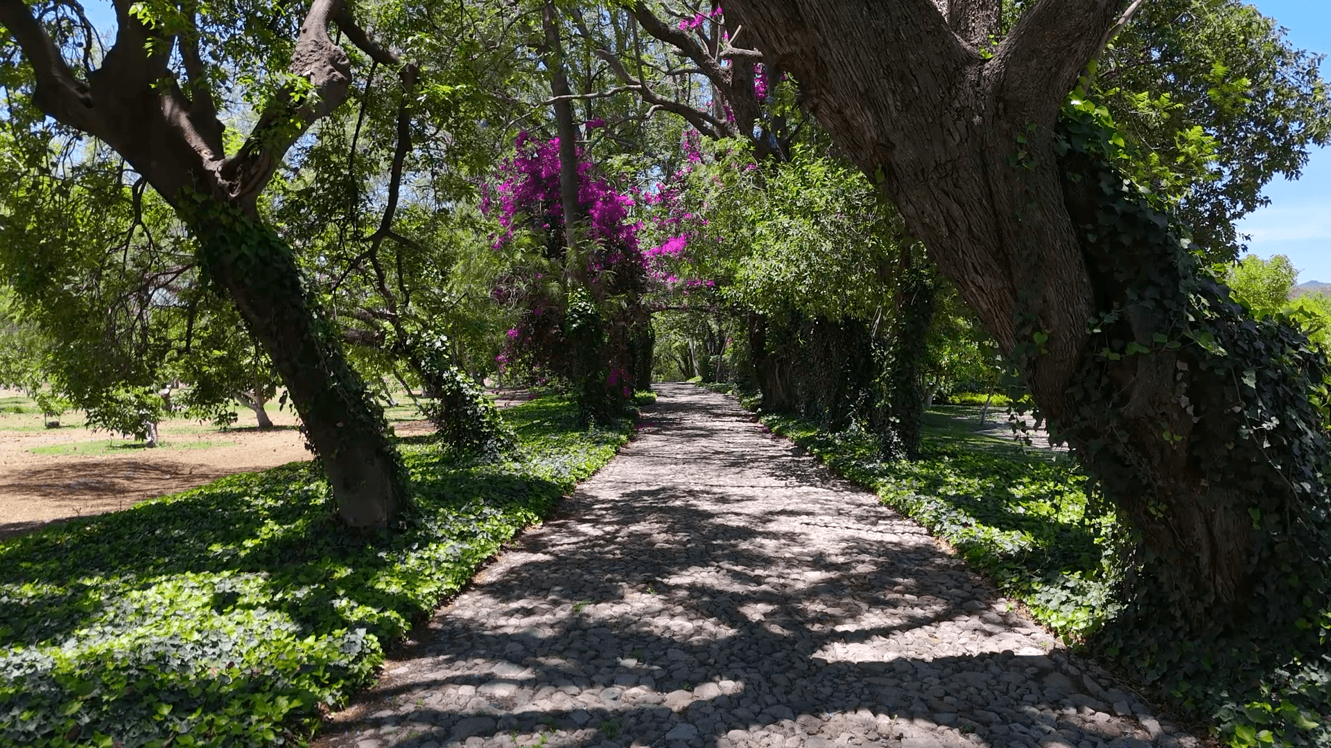 Lote Los Remedios - L13 M3 — photo 5 of 10
