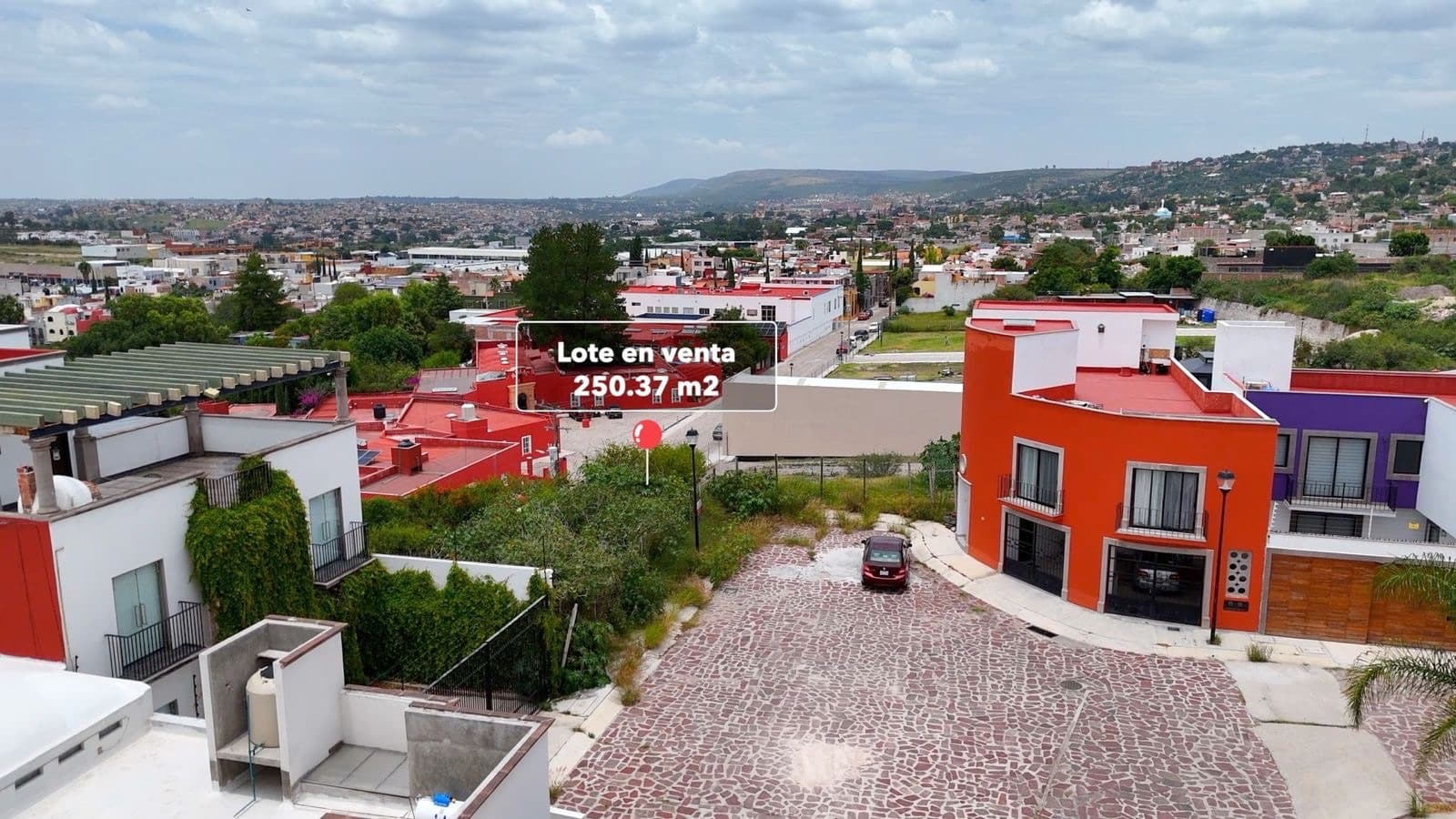 LOTE SUSPIRO LA LEJONA — photo 4 of 10
