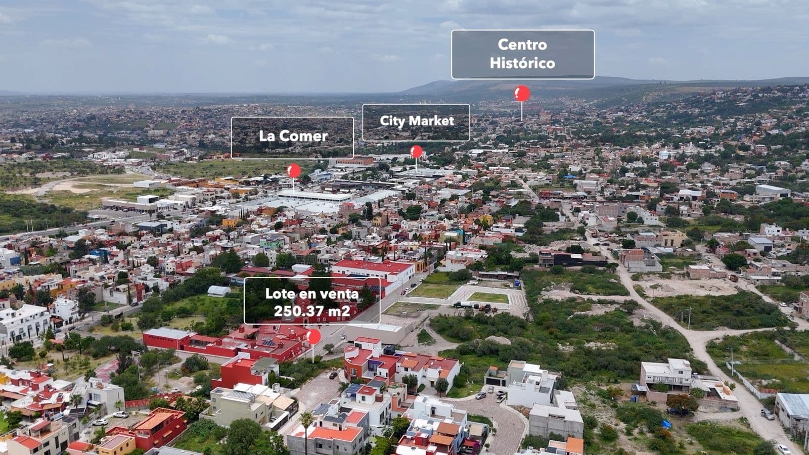 LOTE SUSPIRO LA LEJONA — photo 8 of 10
