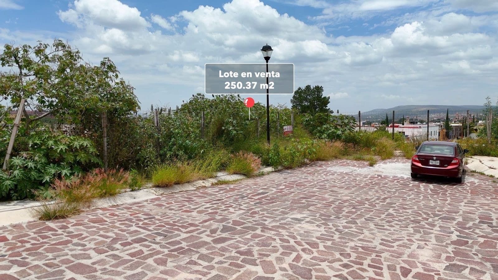 LOTE SUSPIRO LA LEJONA — photo 3 of 10