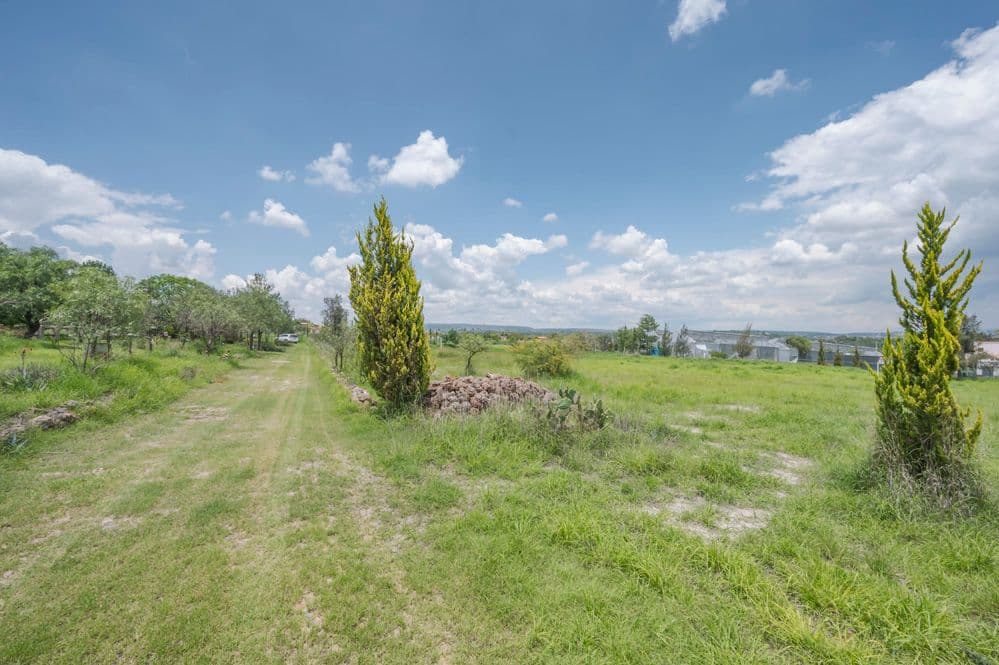 Country Living Near SMA — photo 7 of 7