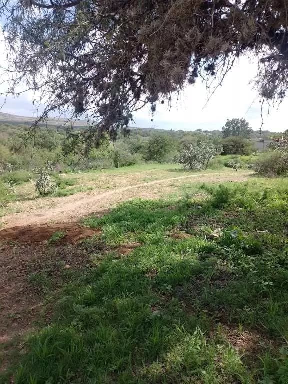 Terreno En Santa Clara, Dolores Hgo