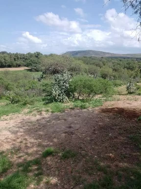 Terreno En Santa Clara, Dolores Hgo — photo 2 of 5