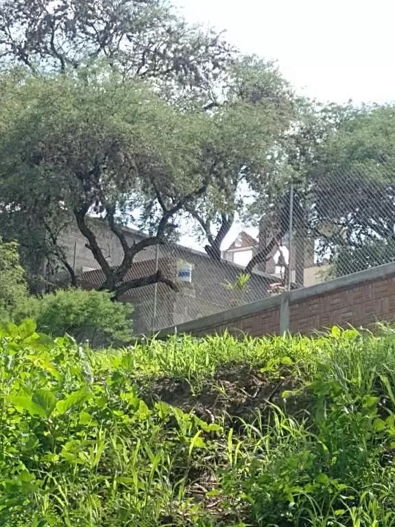 Terreno En Santa Clara, Dolores Hgo — photo 3 of 5