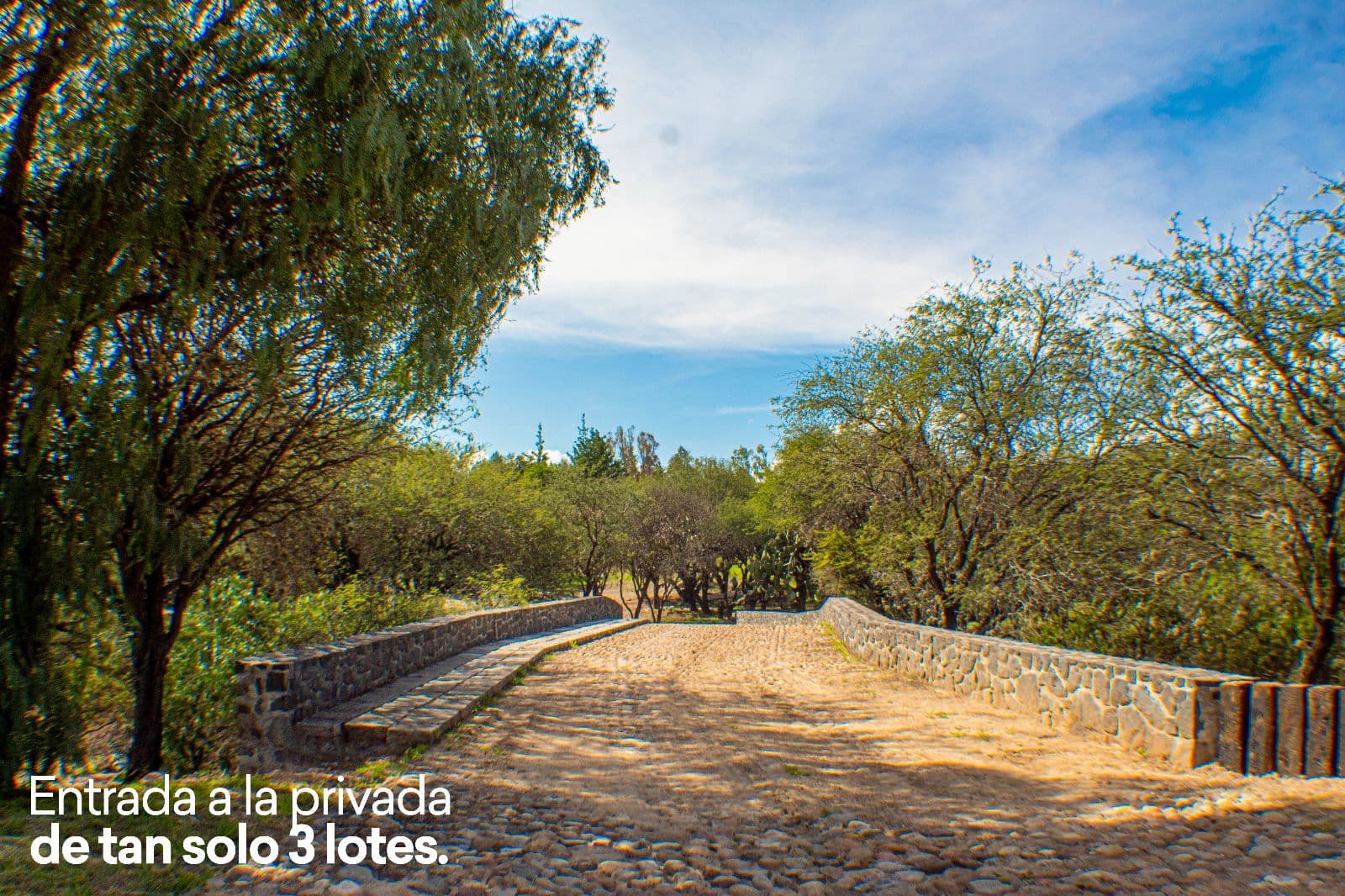 Lote Cané Rancho La Loma — photo 1 of 10