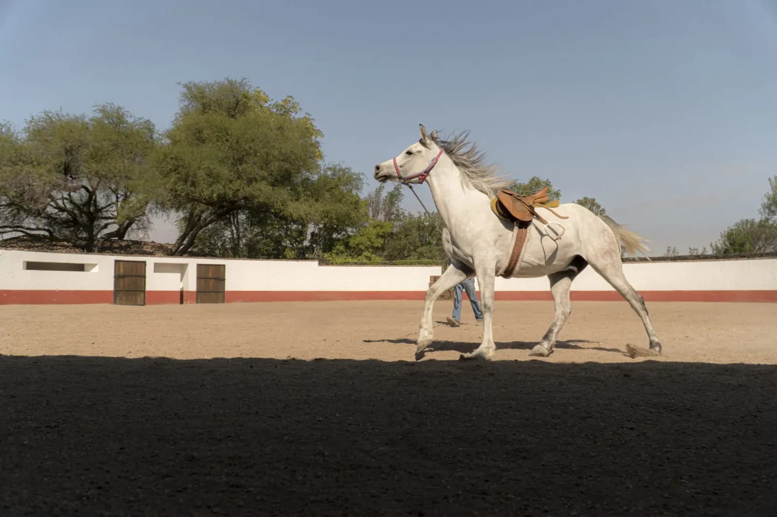 Lote Cané Rancho La Loma — photo 10 of 10