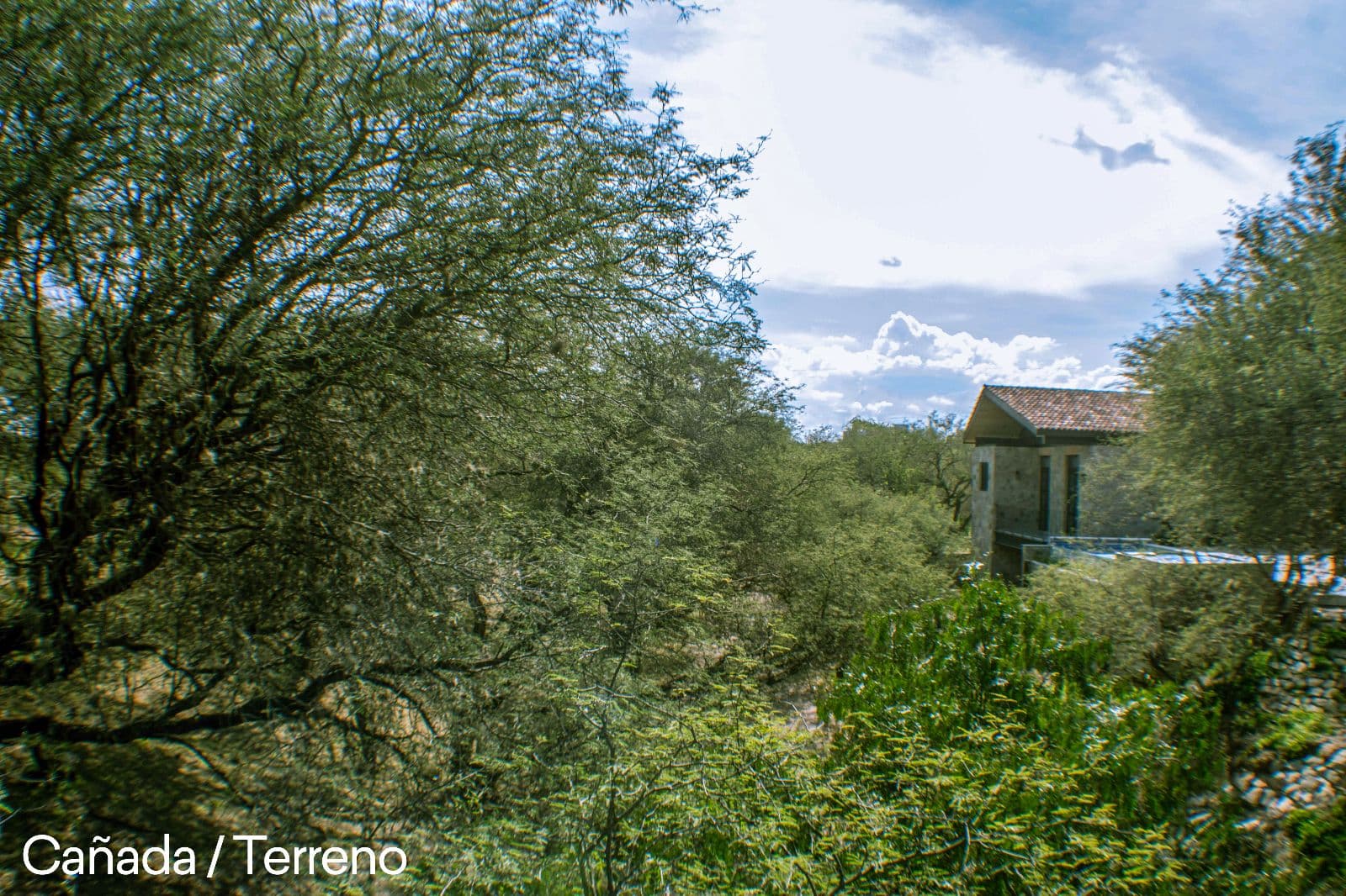 Lote Cané Rancho La Loma — photo 3 of 10