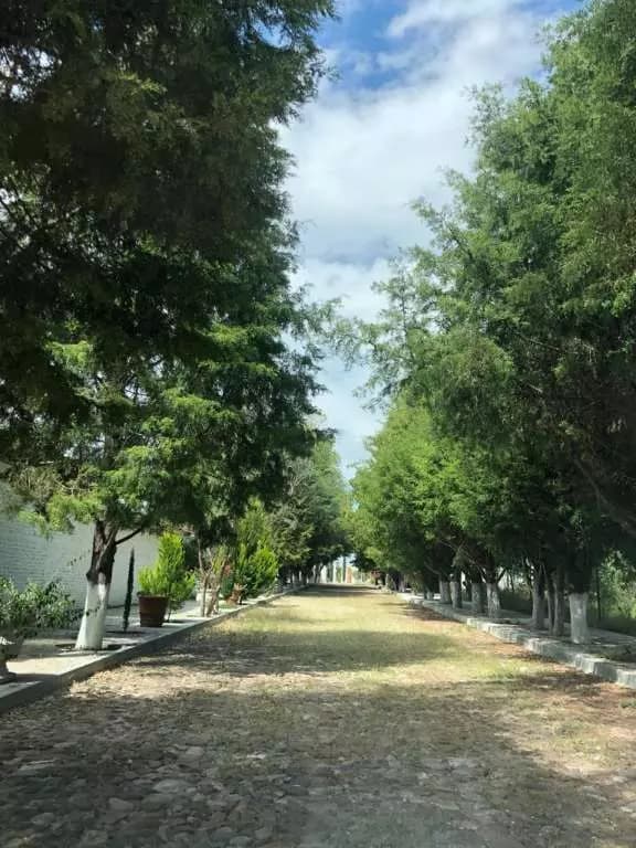 Terreno Bosques De Atotonilco — photo 6 of 10