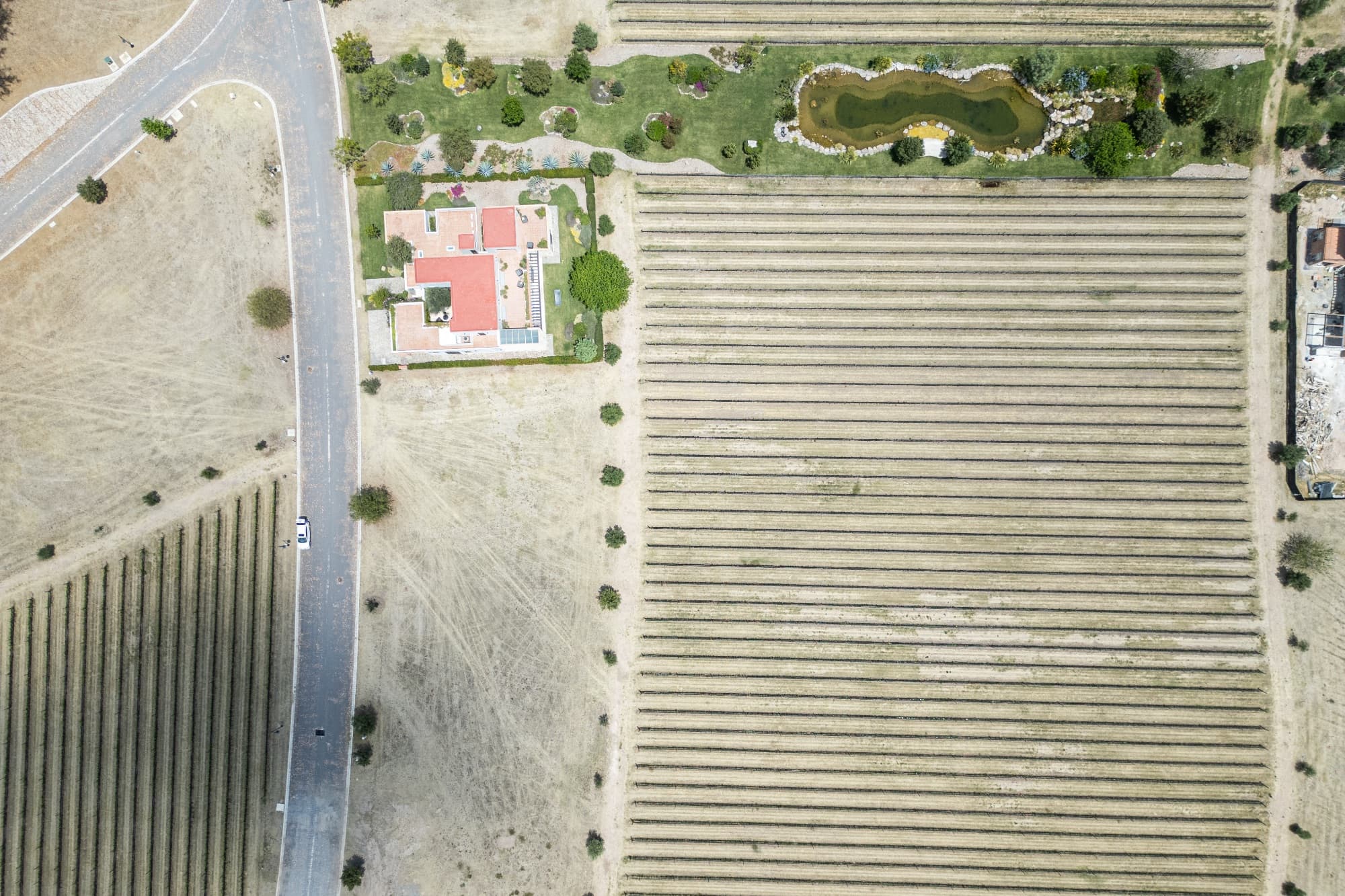 Los Remedios Lot 11 — photo 3 of 10