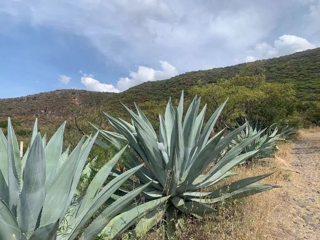 Lote Cañada De Leones — photo 2 of 3