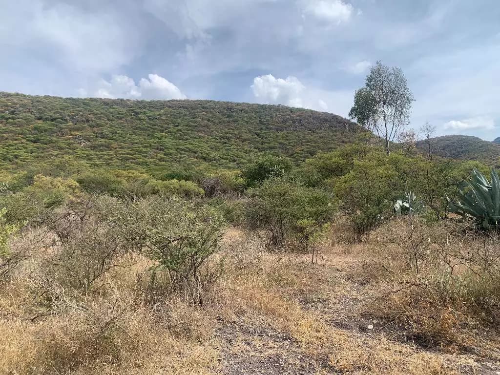 Lote Cañada De Leones — photo 3 of 3