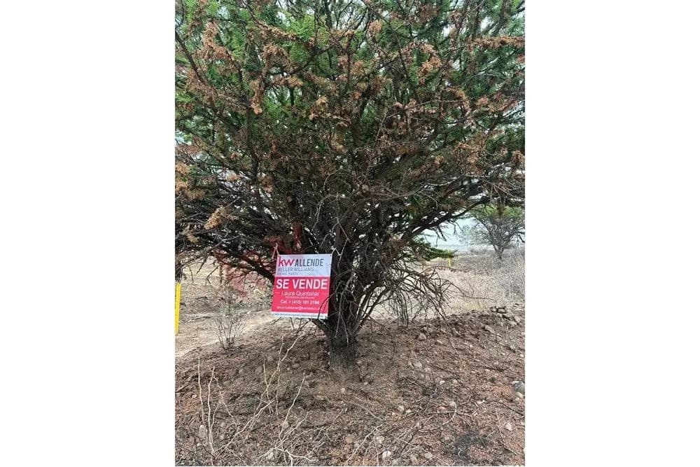 Terreno Ana Tematzcallis — photo 1 of 8