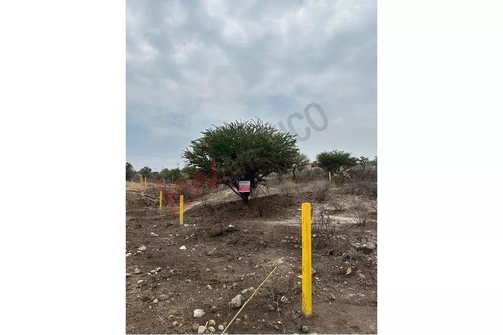Terreno Ana Tematzcallis — photo 4 of 8