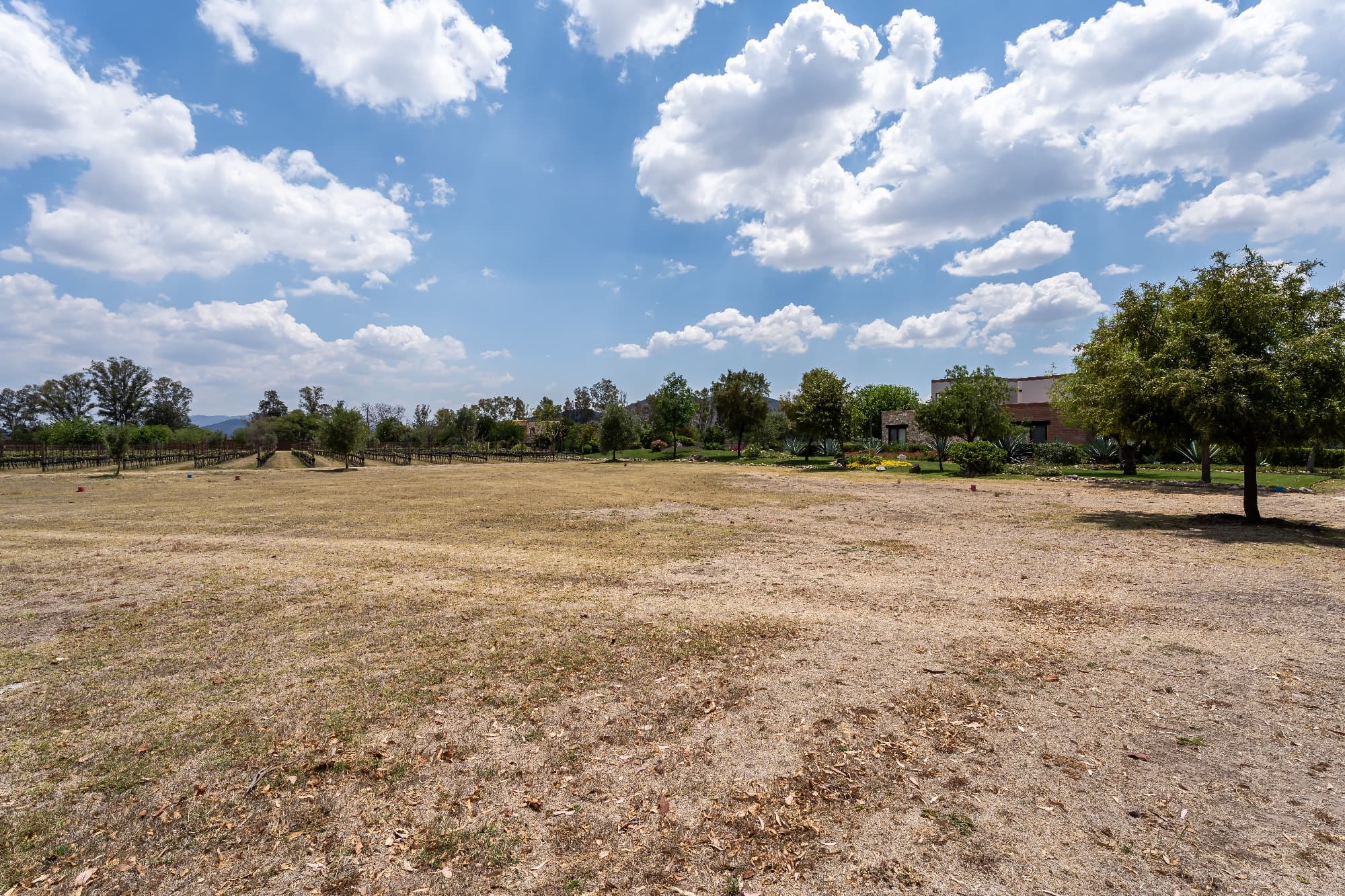 Los Remedios Lot 9 — photo 5 of 10
