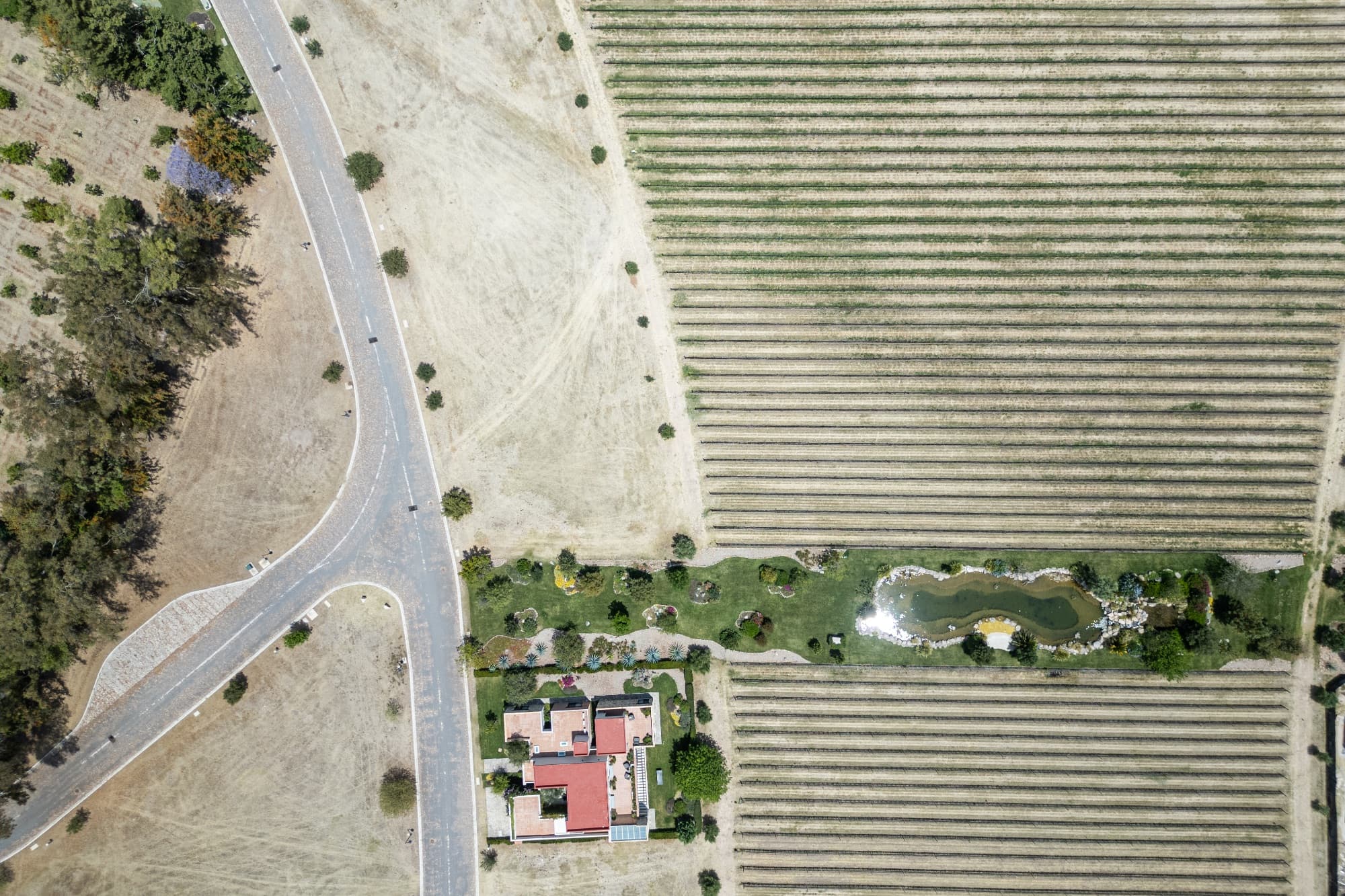 Los Remedios Lot 9 — photo 3 of 10