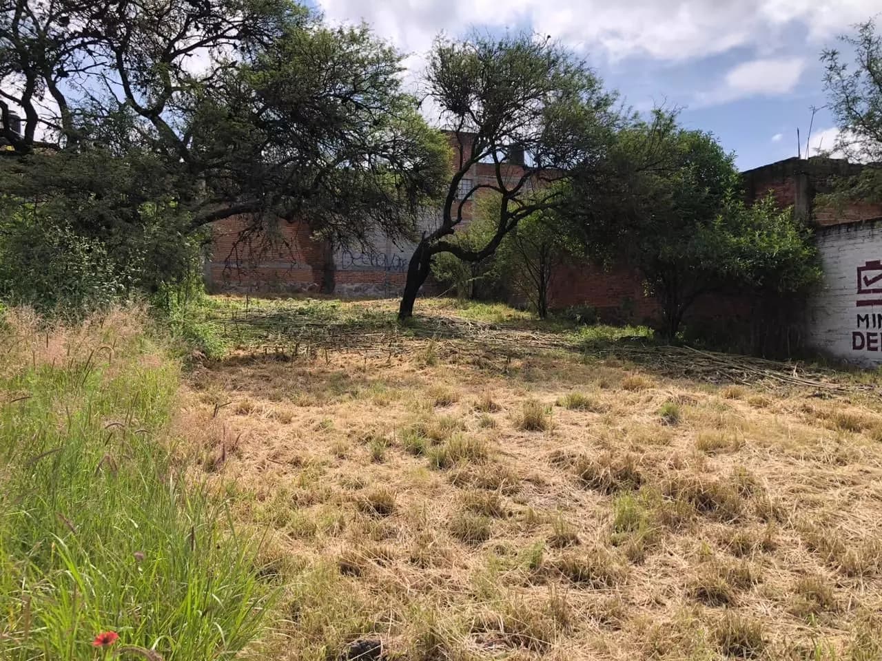Terreno Santa Rosa