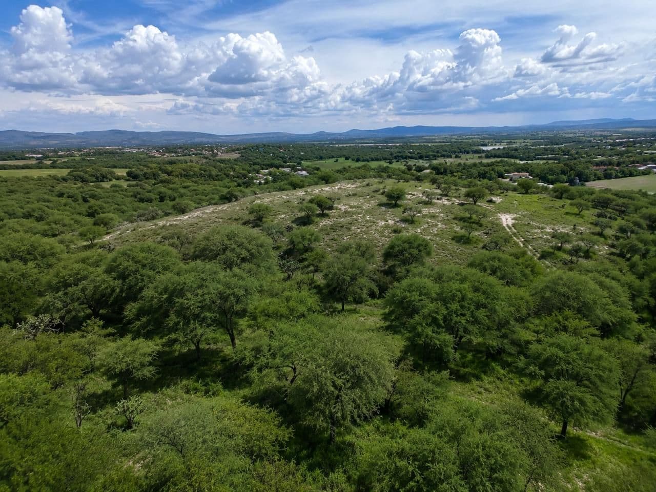 Lote La Giraldilla — photo 6 of 7