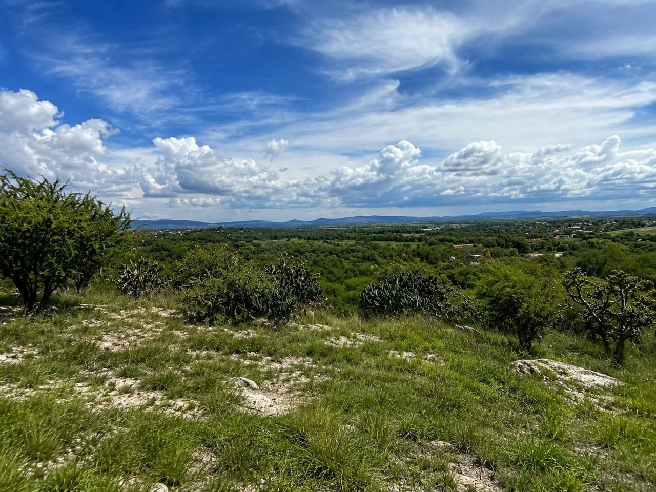 Lote La Giraldilla — photo 3 of 7