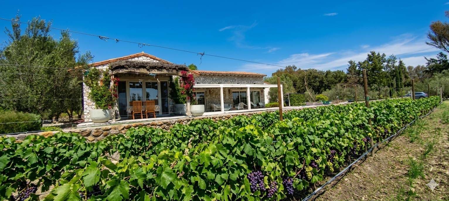 CASA VIÑEDO — photo 3 of 10