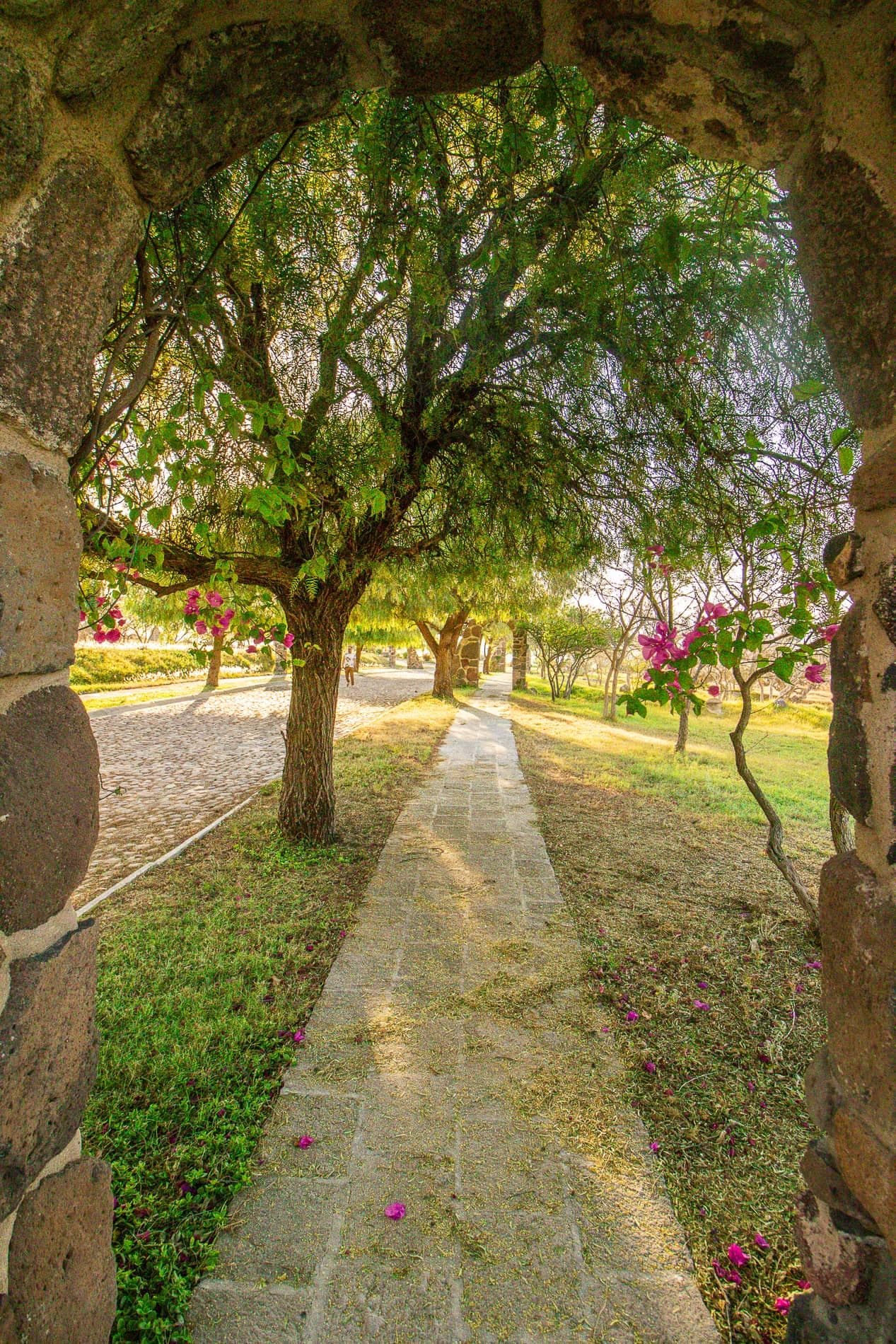AltaVista Lot 19 – 1,053 m² | Luxury Homesite with Protected Views Near Centro — photo 9 of 10