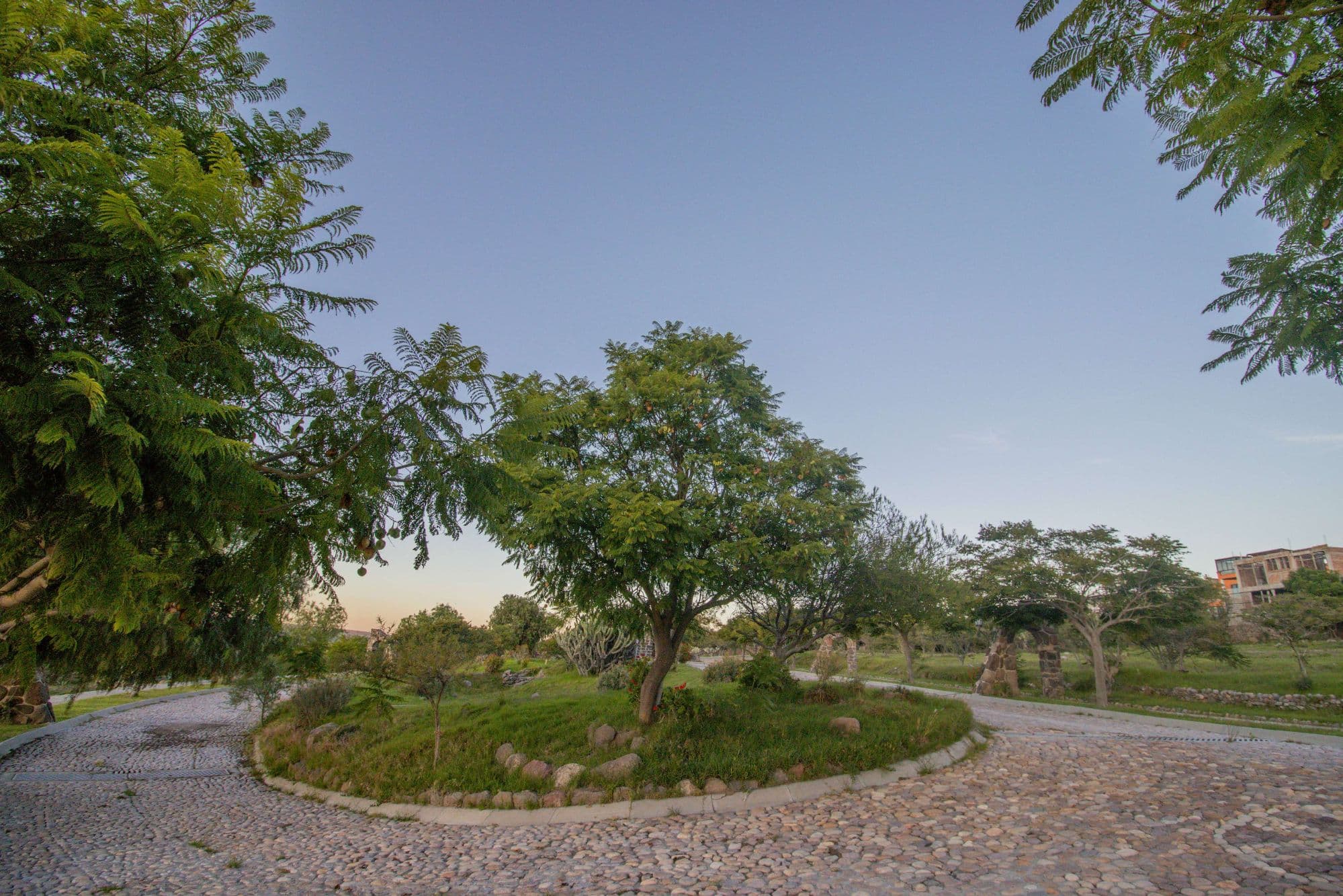 AltaVista Lot 19 – 1,053 m² | Luxury Homesite with Protected Views Near Centro — photo 4 of 10