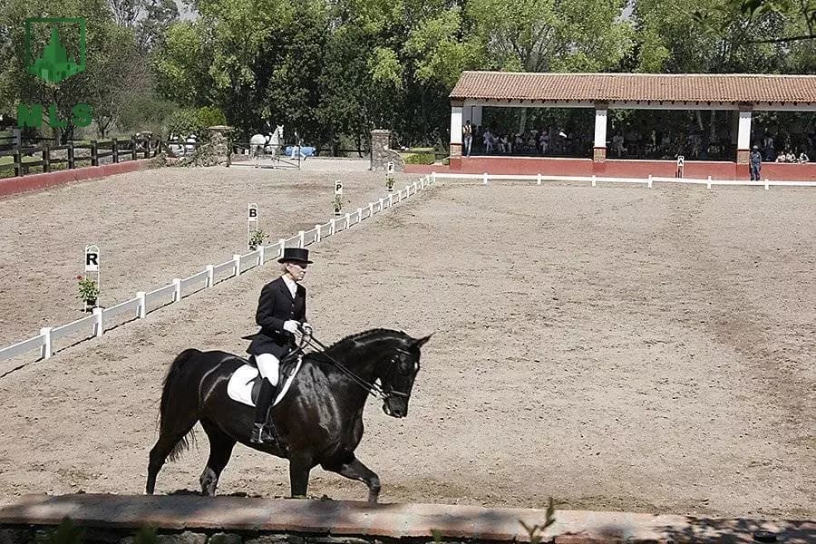 Mirador Equestrian Center — photo 7 of 10