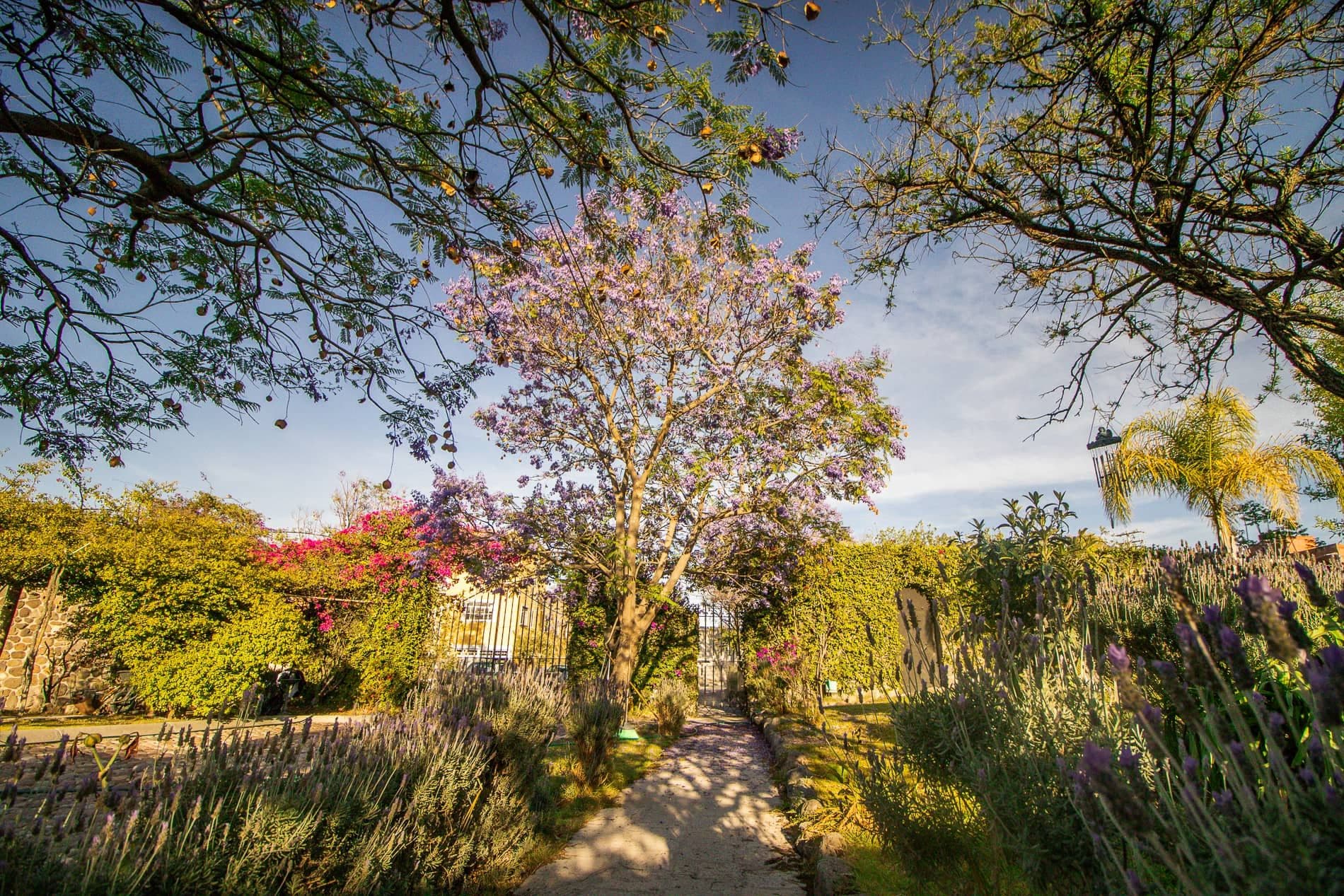 AltaVista Lot 13 – 1,642 m² | Estate Luxury Lot for Sale in San Miguel de Allende — photo 4 of 7
